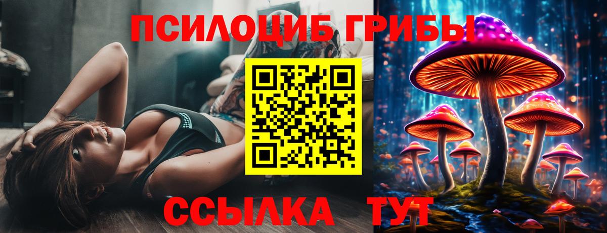 Галлюциногенные грибы Magic Shrooms Кимовск