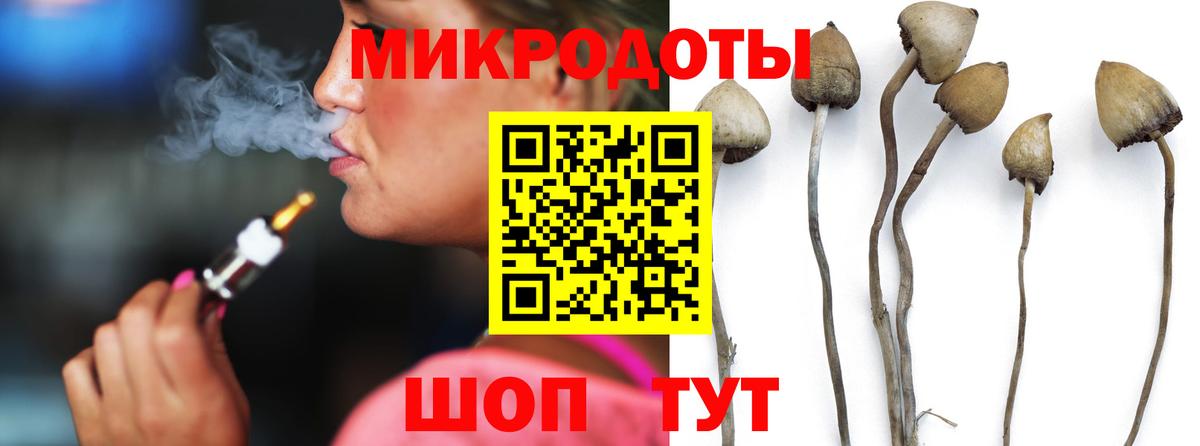 Псилоцибиновые грибы Magic Shrooms  Вход с VPN  купить наркоту  Кимовск  Псилоцибиновые грибы мицелий 